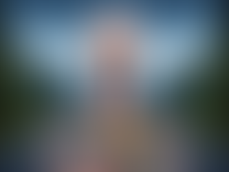 Polyvagal Theory: How Survival Wiring Shapes Chronic Illness