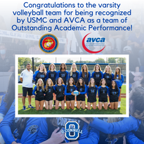 Volleyball Team Recognition.png