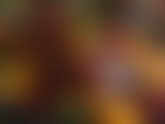 Day 6: Festive Duck with Cranberry and Orange Glaze