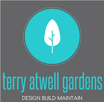 color_logo_with_background.png