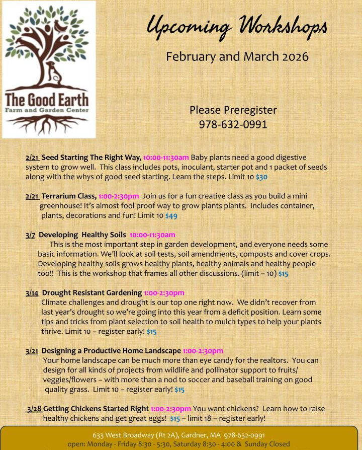 Workshops- Feb and March 2026.pptx.jpg