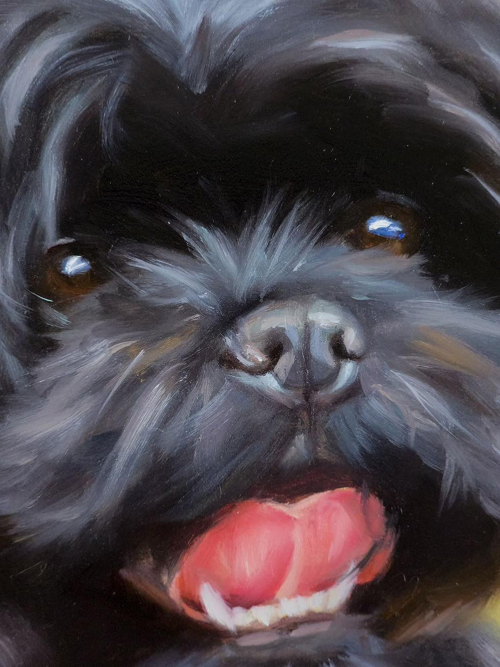 Thumbnail: Close-up of 'Shih Tzu Splendor' - Australian Artist Elena Valerie's Unique Pet Portrait.