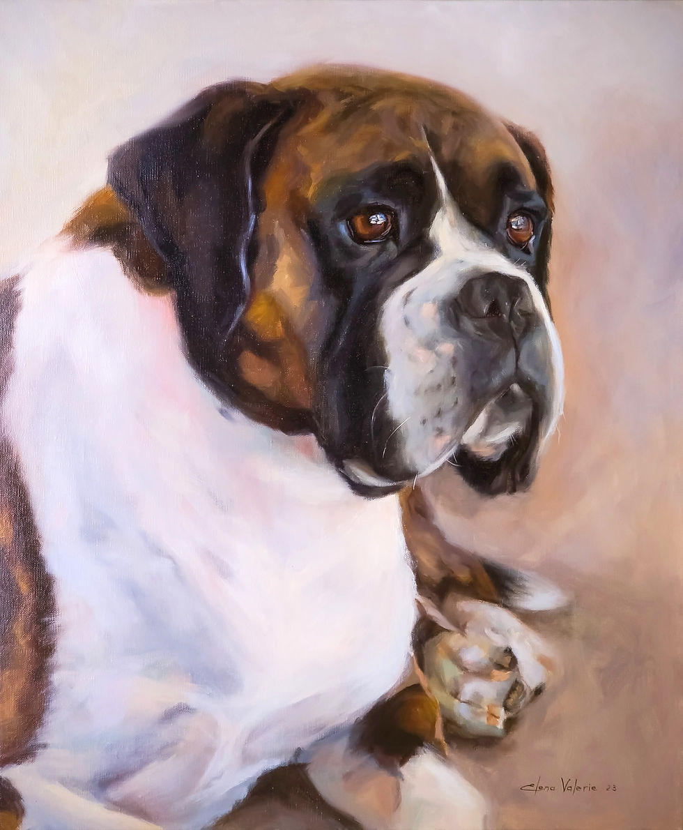 Thumbnail: Boxer Dog Bruce Portrait