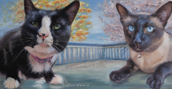 Cats_Elena_Valerie_sm.jpg