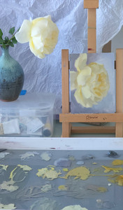 studio photo of the romantic flower collection