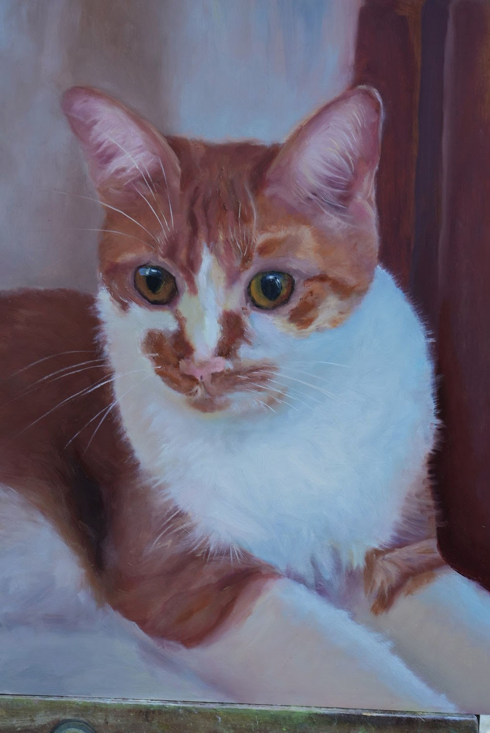 Cat portrait in oil