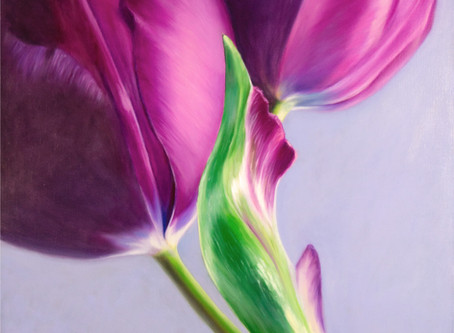 Story of the Tulip
