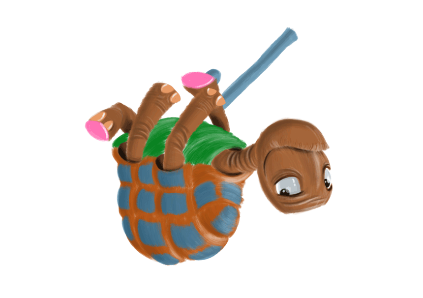 Tortue.gif