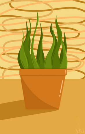 Potted Plant