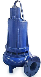 20230818_104207_edited.jpg