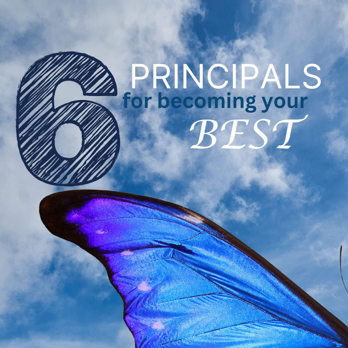 E-Book Principals to becoming your best