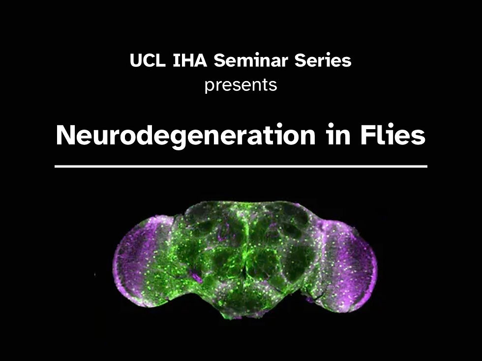 Neurodegeneration in Flies - with Niamh O'Sullivan