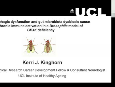 Watch Dr Kinghorn presenting our work on the role of the gut-brain axis in GBA1 loss of function 