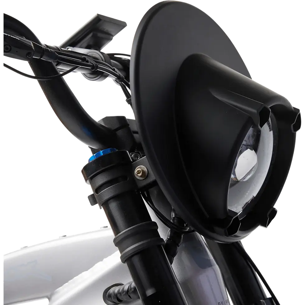Thumbnail: Lynx electric bike moto cafe racer style 