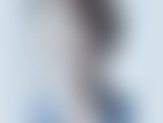 Les Punaises de l'aéroport font de la résistance