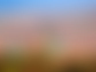 فــــاس : الأم المثالية للمدن المغربية  