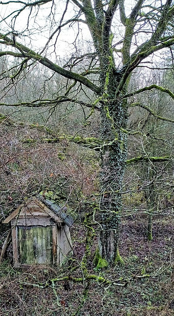 14 CATHERINE BASTYNS - Cabane2bis.jpg