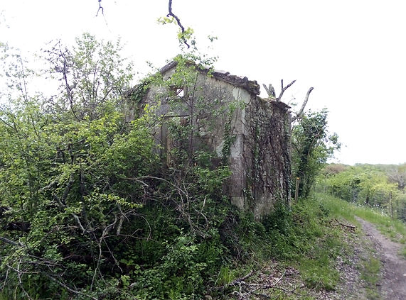 12 CATHERINE BASTYNS - Cabane1.jpg