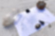 dowsing webby.JPG
