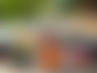 Understanding the main Chakras, their Connection to Glands and Techniques for Balance