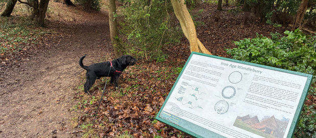 Boudica and the Wandlebury mystery
