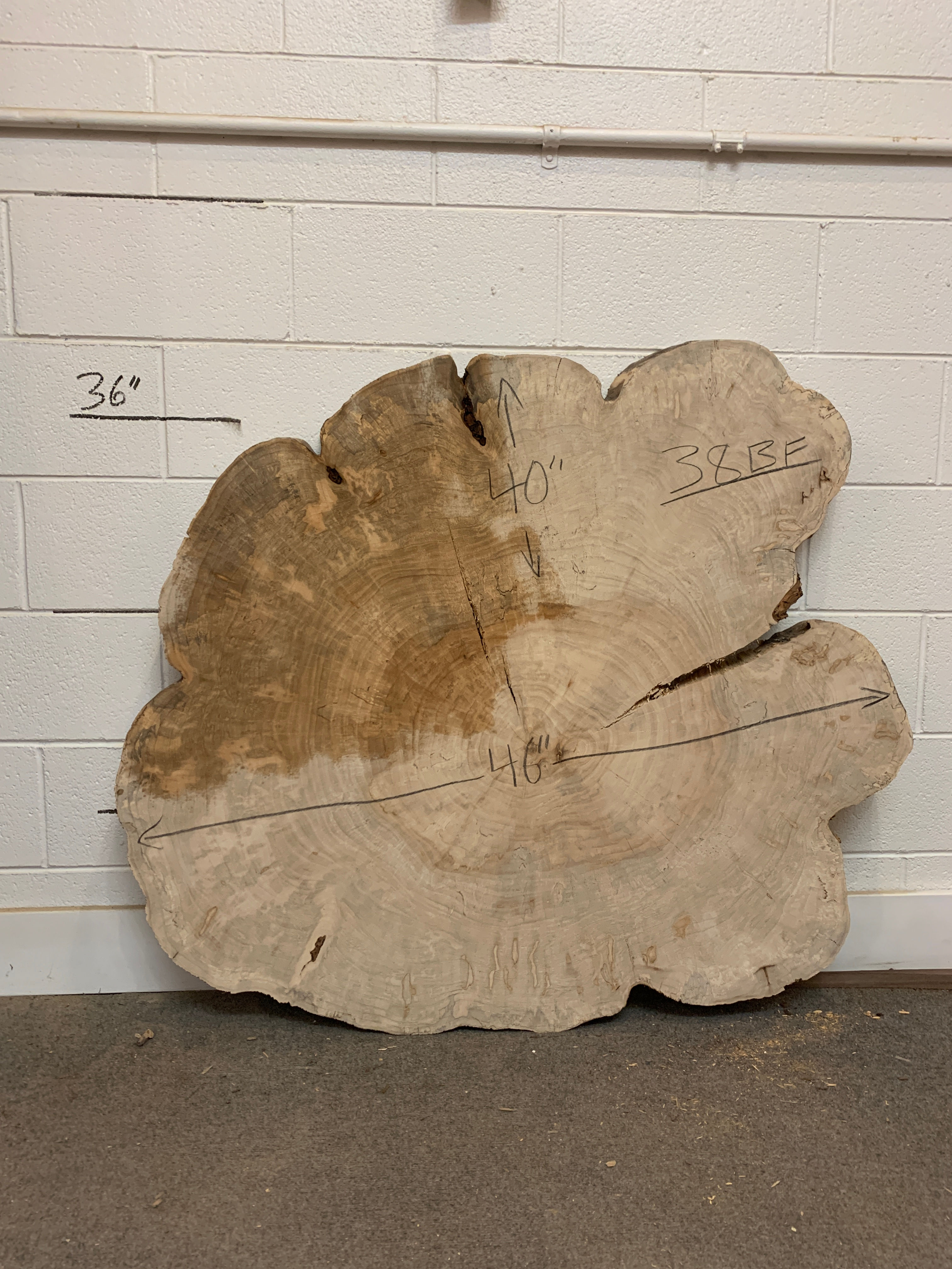 Spalted Maple 7524m01