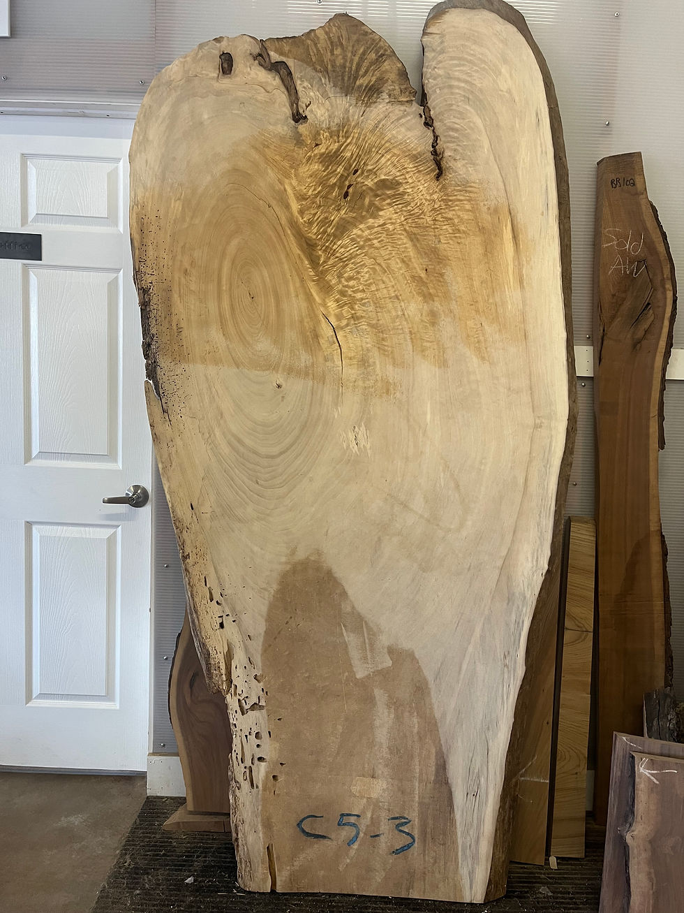 Thumbnail: Cottonwood 0641c01