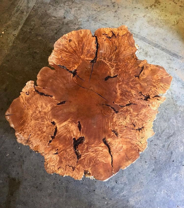 Custom Solid Big Leaf Maple LiveEdge Crosscut Burl Coffee Table