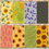 Thumbnail: Echoes of the Prairie – 6x6 Single-Sided Pattern Paper Pack