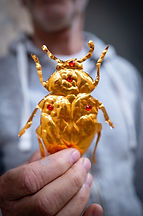 atelier_metal_repousse_1_edited.jpg