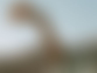 un papillon sur une main de femme