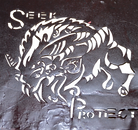 DSC_0245.png