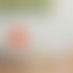 워싱턴주 교육 시스템, 학부모가 꼭 알아야 할 기본 정보