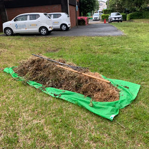 湖西市 草刈り 集合住宅