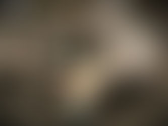 Cómo DLP-TNS Optimiza el Transporte de Caja Seca para Equipos Médicos