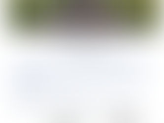 Livewell Emotional Health & Wellbeing Drop in