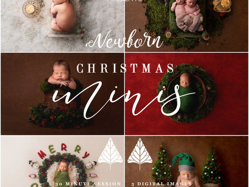 The Holidays are here! 