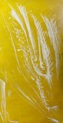 IMG_5768.jpeg