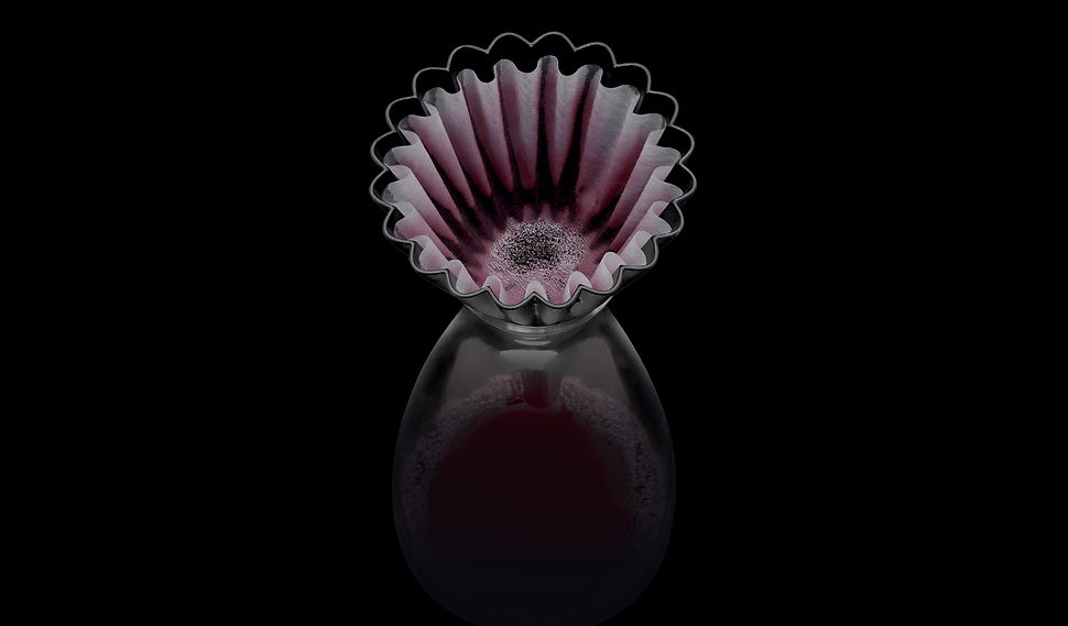 filter close-up fading black.jpg