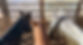 horse heads_edited.jpg