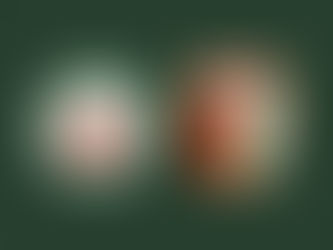 VfB - FC Augsburg II 4:0