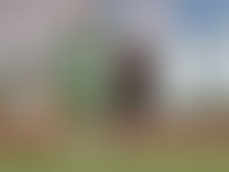 FC Würzburger Kickers - VfB 3:1