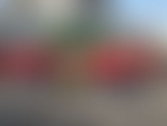 Schäfflertanz beim VFB Eichstätt