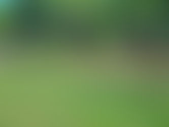 Conquista para Mooca: Praça Presidente Kennedy vai virar Parque