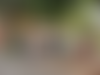 Zeladoria e segurança: mandato investe em revitalização de mais nove espaços públicos na zona norte