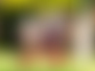 Copa Metropolitana de Rugby acontece neste sábado, no CERET