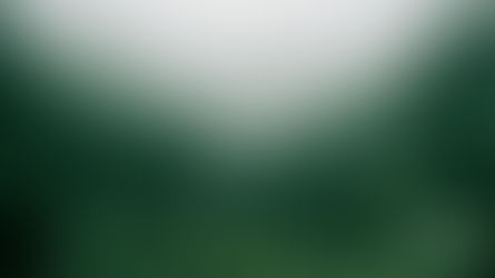 The Little Blue View - July