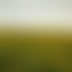 Satış Suretiyle Pay Temliki:Trampa Yolu İle Pay Ediniminin Muvazaalı Olduğu - Önalım Hakkının Var Olduğunun Kabul Edilmesi Gereği