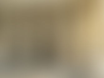 T.C. HGK : Yabancı Para Alacağı Üzerinden Ödeme Emri Düzenlenemez Yabancı para alacağı icra takibi nasıl yapılır? Yabancı para alacağına hangi faiz uygulanır?