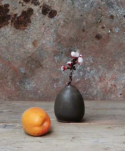 3.An Apricot&fruit_Alowres.jpg